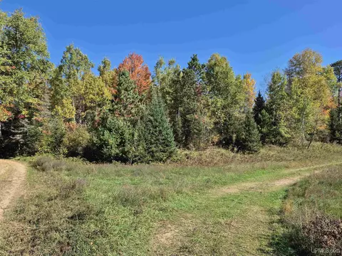 40 Acres Leeman, Ralph, MI 49877 photo 25