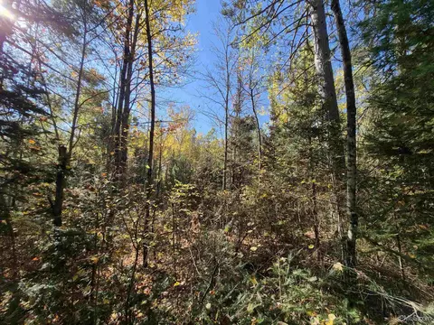 40 Acres Leeman, Ralph, MI 49877 photo 49