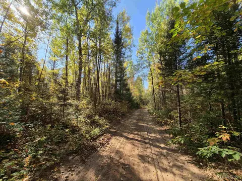 40 Acres Leeman, Ralph, MI 49877 photo 59