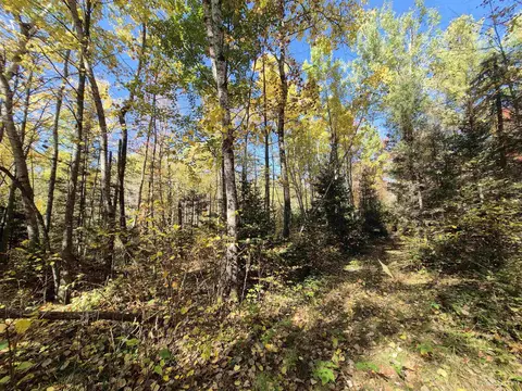 40 Acres Leeman, Ralph, MI 49877 photo 45