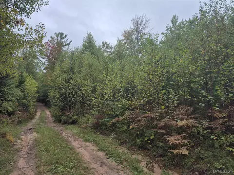 40 Acres Leeman, Ralph, MI 49877 photo 11