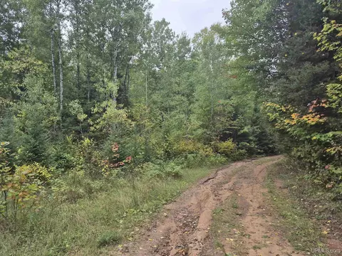 40 Acres Leeman, Ralph, MI 49877 photo 20