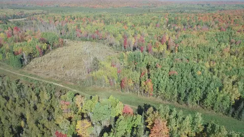 40 Acres Leeman, Ralph, MI 49877 photo 68