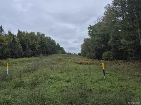 40 Acres Leeman, Ralph, MI 49877 photo 7