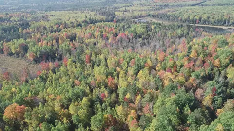 40 Acres Leeman, Ralph, MI 49877 photo 73