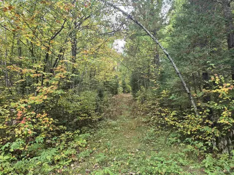 40 Acres Leeman, Ralph, MI 49877 photo 17