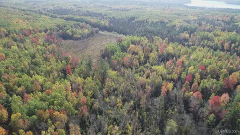 40 Acres Leeman, Ralph, MI 49877 photo 77