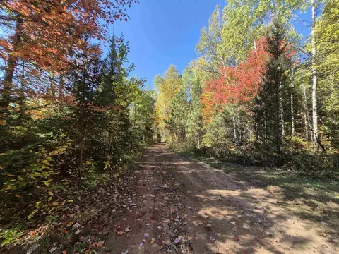 40 Acres Leeman, Ralph, MI 49877 photo 54