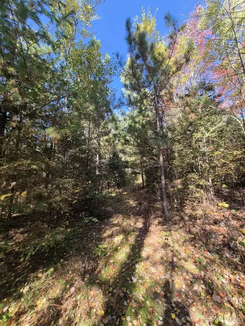 40 Acres Leeman, Ralph, MI 49877 photo 48