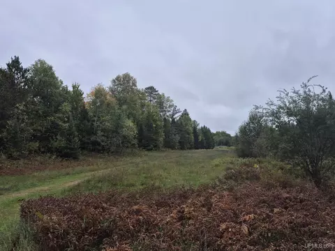 40 Acres Leeman, Ralph, MI 49877 photo 4