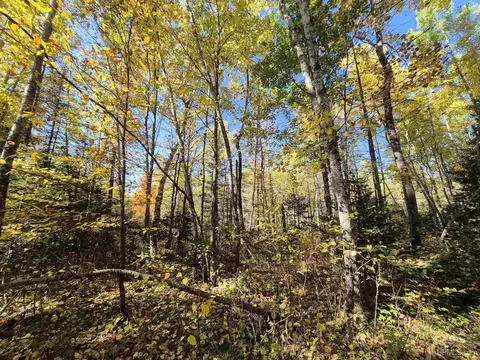 40 Acres Leeman, Ralph, MI 49877 photo 46