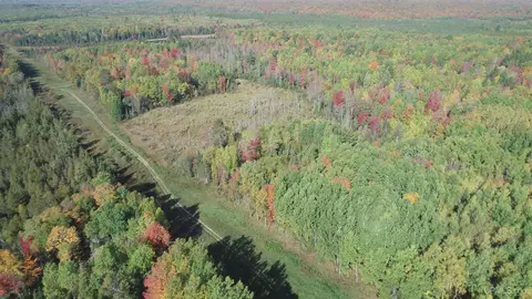 40 Acres Leeman, Ralph, MI 49877 photo 69