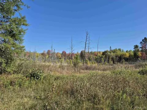 40 Acres Leeman, Ralph, MI 49877 photo 31