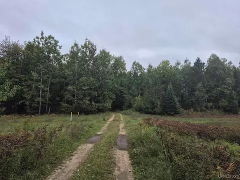 40 Acres Leeman, Ralph, MI 49877 photo 3