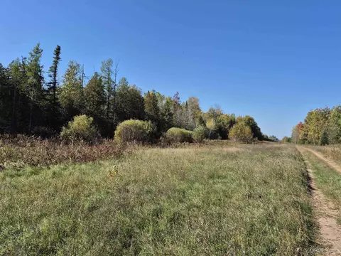 40 Acres Leeman, Ralph, MI 49877 photo 30