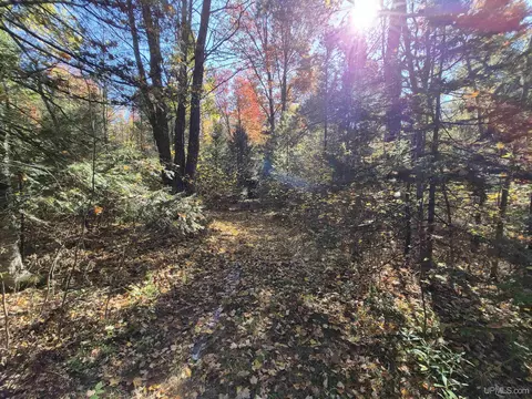 40 Acres Leeman, Ralph, MI 49877 photo 50