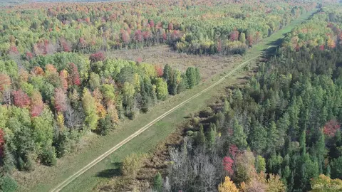 40 Acres Leeman, Ralph, MI 49877 photo 63