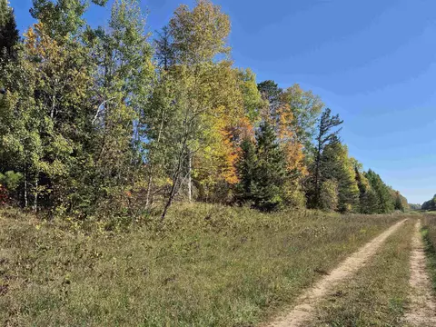 40 Acres Leeman, Ralph, MI 49877 photo 28