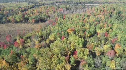 40 Acres Leeman, Ralph, MI 49877 photo 72