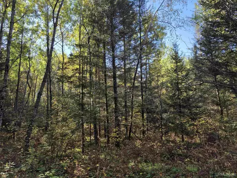 40 Acres Leeman, Ralph, MI 49877 photo 42