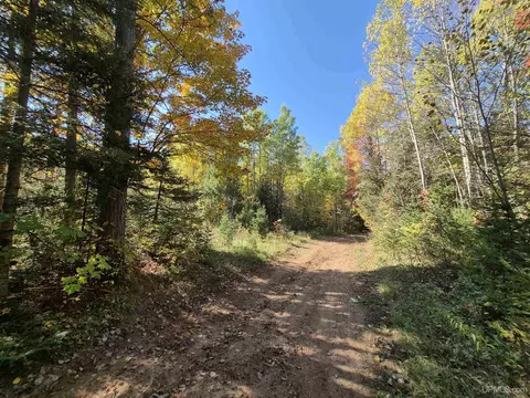 40 Acres Leeman, Ralph, MI 49877 photo 56