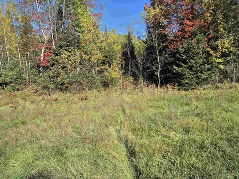 40 Acres Leeman, Ralph, MI 49877 photo 40