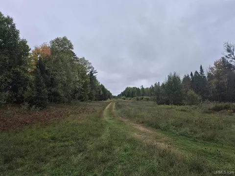 40 Acres Leeman, Ralph, MI 49877 photo 6