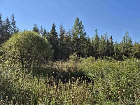 40 Acres Leeman, Ralph, MI 49877 photo 36