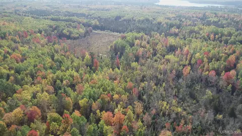 40 Acres Leeman, Ralph, MI 49877 photo 76