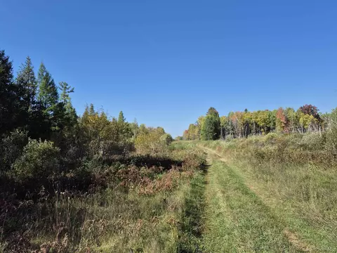 40 Acres Leeman, Ralph, MI 49877 photo 38