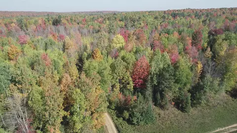 40 Acres Leeman, Ralph, MI 49877 photo 60