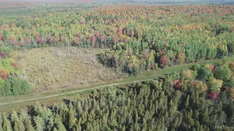 40 Acres Leeman, Ralph, MI 49877 photo 65