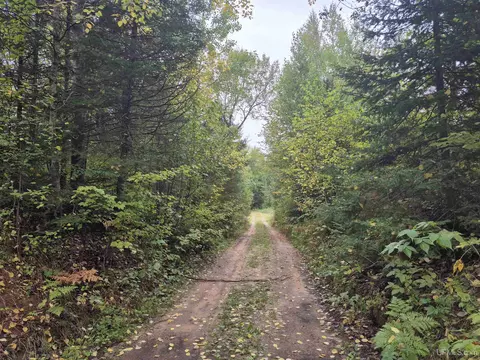 40 Acres Leeman, Ralph, MI 49877