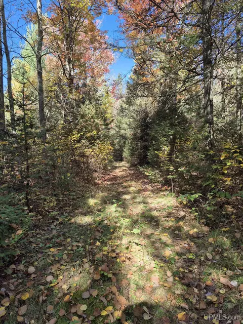 40 Acres Leeman, Ralph, MI 49877 photo 47