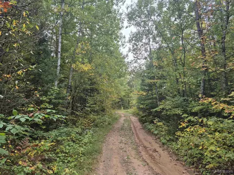 40 Acres Leeman, Ralph, MI 49877 photo 18