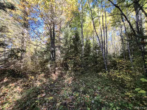 40 Acres Leeman, Ralph, MI 49877 photo 43