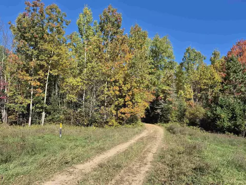40 Acres Leeman, Ralph, MI 49877 photo 24