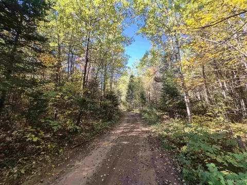 40 Acres Leeman, Ralph, MI 49877 photo 58