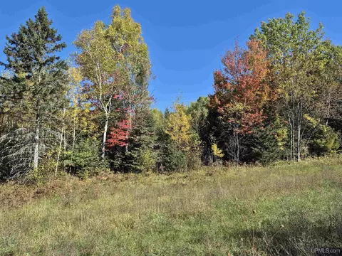 40 Acres Leeman, Ralph, MI 49877 photo 39
