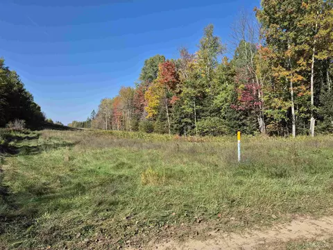 40 Acres Leeman, Ralph, MI 49877 photo 23