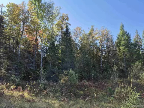 40 Acres Leeman, Ralph, MI 49877 photo 37