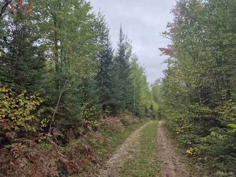 40 Acres Leeman, Ralph, MI 49877 photo 10