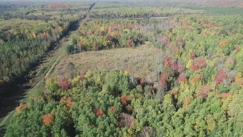 40 Acres Leeman, Ralph, MI 49877 photo 70