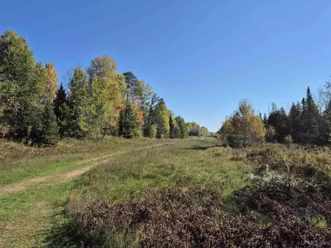 40 Acres Leeman, Ralph, MI 49877 photo 26