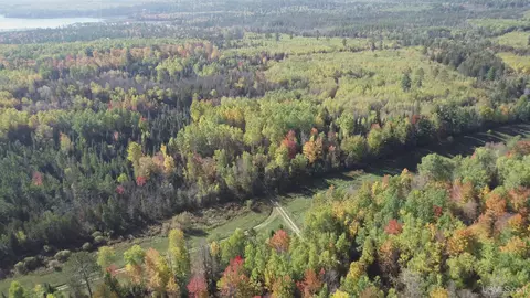 40 Acres Leeman, Ralph, MI 49877 photo 80