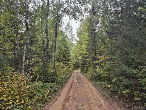40 Acres Leeman, Ralph, MI 49877 photo 16