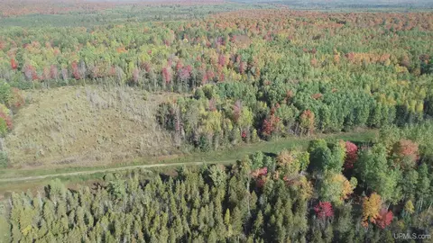 40 Acres Leeman, Ralph, MI 49877 photo 66