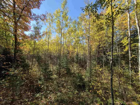 40 Acres Leeman, Ralph, MI 49877 photo 44