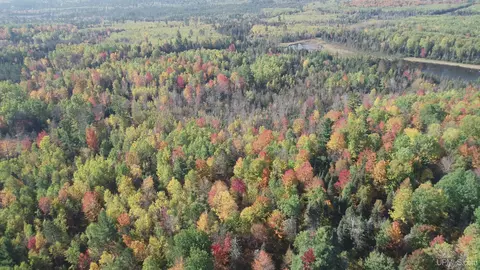 40 Acres Leeman, Ralph, MI 49877 photo 74