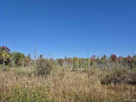 40 Acres Leeman, Ralph, MI 49877 photo 34